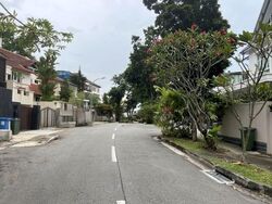 Shamrock Park (D10), Semi-Detached #619411871